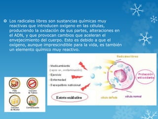  Los radicales libres son sustancias químicas muy 
reactivas que introducen oxígeno en las células, 
produciendo la oxidación de sus partes, alteraciones en 
el ADN, y que provocan cambios que aceleran el 
envejecimiento del cuerpo. Esto es debido a que el 
oxígeno, aunque imprescindible para la vida, es también 
un elemento químico muy reactivo. 
 