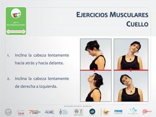 1. Inclina la cabeza lentamente
hacia atrás y hacia delante.
2. Inclina la cabeza lentamente
de derecha a izquierda.
EJERCICIOS MUSCULARES
CUELLOCAP V:
RECOMENDACIONES
 
