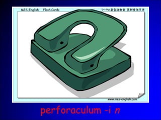 perforaculum -i n
 