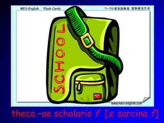 theca –ae scholaris f [s. sarcina f]
 