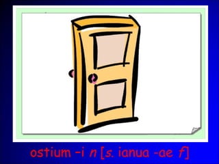 ostium –i n [s. ianua -ae f]
 