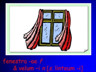 fenestra -ae f
& velum –i n [s. linteum -i]
 