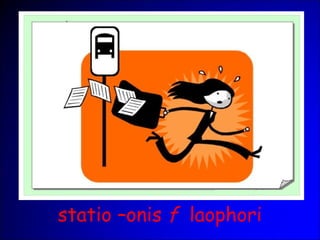 statio –onis f laophori
 