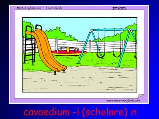 cavaedium -i (scholare) n
 