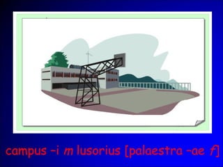 campus –i m lusorius [palaestra –ae f]
 