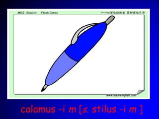 calamus -i m [s. stilus -i m ]
 