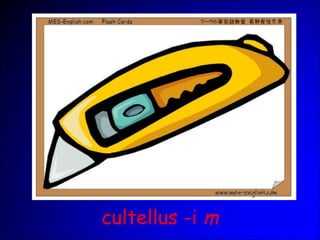 cultellus -i m
 