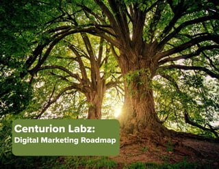 Centurion Labz:
Digital Marketing Roadmap
 