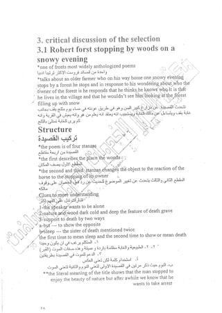 ملخص 20th century American lit