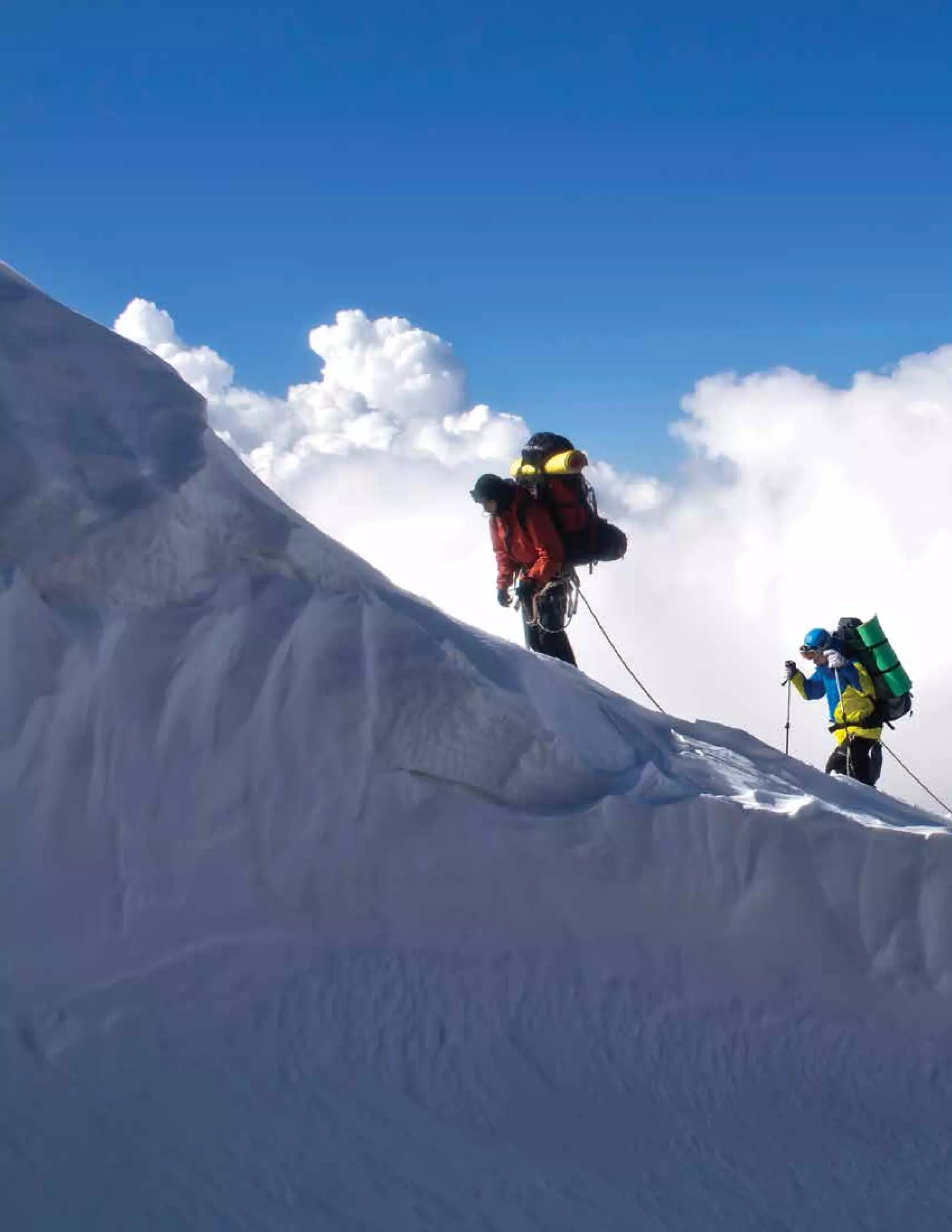 Leadinginextraordinarytimes282015USCEOSurvey
 