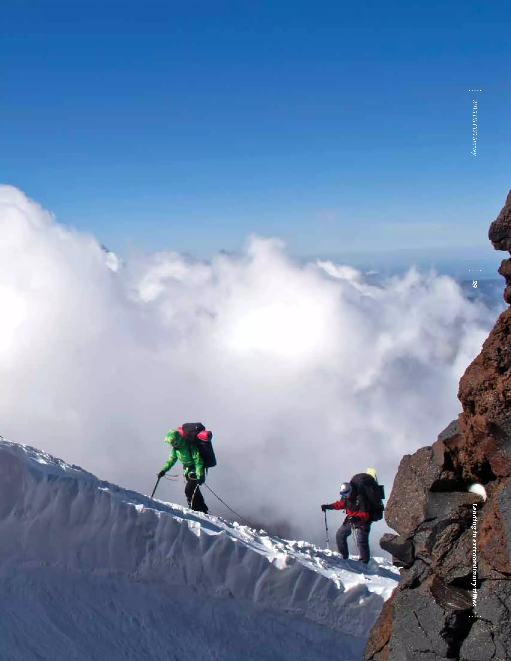 Leadinginextraordinarytimes292015USCEOSurvey
 