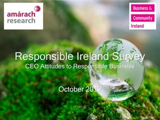 Responsible Ireland Survey
  CEO Attitudes to Responsible Business


             October 2012
 