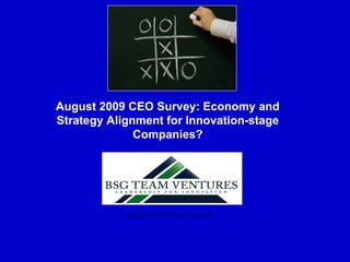 August 2009 CEO Survey: Economy and
Strategy Alignment for Innovation-stage
              Companies?




            Copyright : BSG Team Ventures, Sept 2009
 
