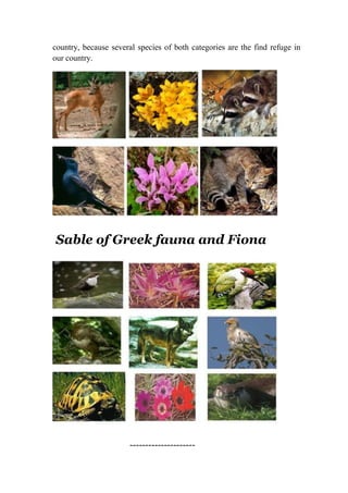 country, because several species of both categories are the find refuge in 
our country. 
Sable of Greek fauna and Fiona 
--------------------- 
