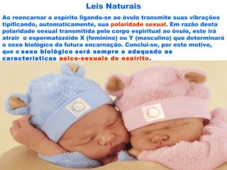 Leis Naturais
Ao reencarnar o espírito ligando-se ao óvulo transmite suas vibrações
tipificando, automaticamente, sua polaridade sexual. Em razão desta
polaridade sexual transmitida pelo corpo espiritual ao óvulo, este irá
atrair o espermatozóide X (feminino) ou Y (masculino) que determinará
o sexo biológico da futura encarnação. Conclui-se, por este motivo,
que o sexo biológico será sempre o adequado as
características psico-sexuais do espírito.
 