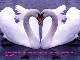 A expressão da sexualidade é uma expressão de
amor?
 