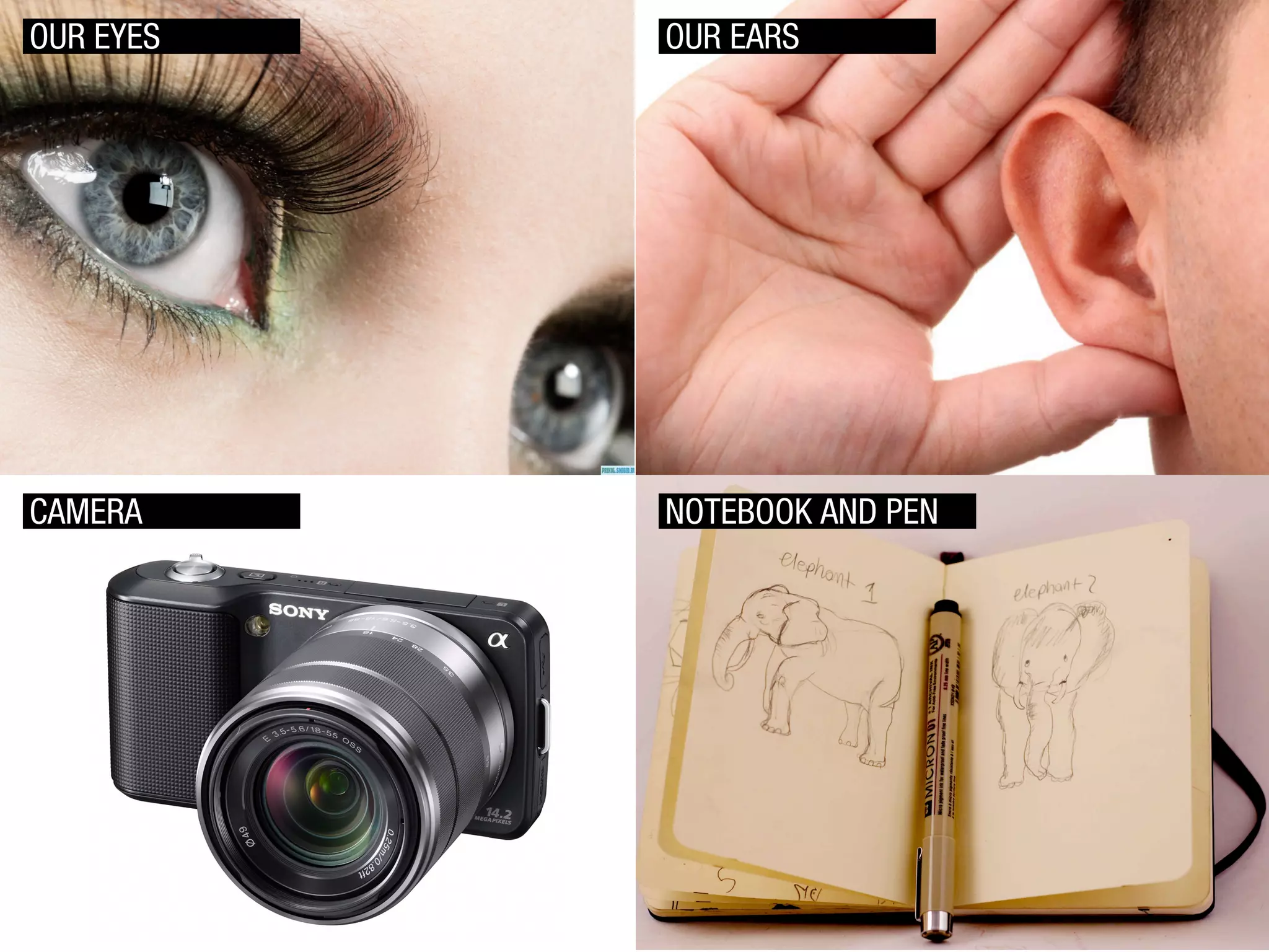 OUR EYES

OUR EARS

CAMERA

NOTEBOOK AND PEN

 