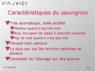 Caractéristiques du sauvignon Très aromatique, belle acidité Mielleux quand il est très mûr Buis, bourgeon de cassis à maturité moyenne Pipi de chat quand il n’est pas mûr Réussit bien partout Le plus pur sur les terroirs calcaires et siliceux Demande de l’élevage sur des graves  