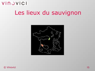 Les lieux du sauvignon 
