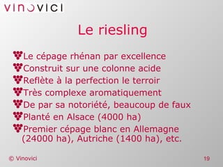 Le riesling Le cépage rhénan par excellence Construit sur une colonne acide Reflète à la perfection le terroir Très complexe aromatiquement De par sa notoriété, beaucoup de faux Planté en Alsace (4000 ha) Premier cépage blanc en Allemagne (24000 ha), Autriche (1400 ha), etc. 