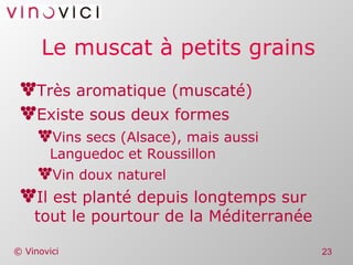 Le muscat à petits grains Très aromatique (muscaté) Existe sous deux formes Vins secs (Alsace), mais aussi Languedoc et Roussillon Vin doux naturel Il est planté depuis longtemps sur tout le pourtour de la Méditerranée 