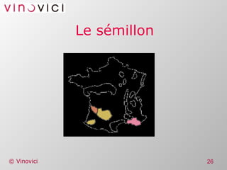 Le sémillon 