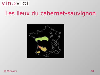 Les lieux du cabernet-sauvignon 