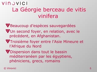 La Géorgie berceau de vitis vinifera  Beaucoup d’espèces sauvegardées Un second foyer, en relation, avec le précédent, en Afghanistan. Troisième foyer entre l’Asie Mineure et l’Afrique du Nord Dispersion dans tout le bassin méditerranéen par les égyptiens, phéniciens, grecs, romains 