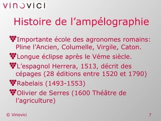 Histoire de l’ampélographie Importante école des agronomes romains: Pline l’Ancien, Columelle, Virgile, Caton. Longue éclipse après le Véme siècle. L’espagnol Herrera, 1513, décrit des cépages (28 éditions entre 1520 et 1790) Rabelais (1493-1553) Olivier de Serres (1600 Théâtre de l’agriculture) 
