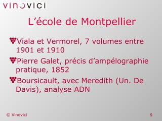 L’école de Montpellier Viala et Vermorel, 7 volumes entre 1901 et 1910 Pierre Galet, précis d’ampélographie pratique, 1852 Boursicault, avec Meredith (Un. De Davis), analyse ADN 