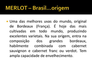    Uma das melhores uvas do mundo, original
    de Bordeaux (França). É hoje das mais
    cultivadas em todo mundo, produzindo
    excelentes varietais. Na sua origem, entra na
    composição      dos     grandes    bordeaux,
    habilmente combinada com cabernet
    sauvignon e cabernet franc ou verdot. Tem
    ampla capacidade de envelhecimento.
 
