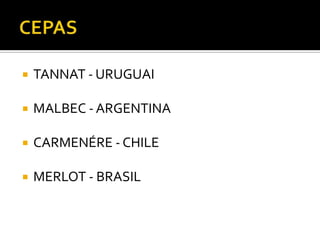    TANNAT - URUGUAI

   MALBEC - ARGENTINA

   CARMENÉRE - CHILE

   MERLOT - BRASIL
 