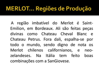 A região imbatível do Merlot é Saint-
Emilion, em Bordeaux. Ali são feitas peças
divinas como Chateau Cheval Blanc e
Chateau Petrus. Fora dali, espalha-se por
todo o mundo, sendo digno de nota os
Merlot chilenos californianos, e neo-
zelandeses. Na Itália tem feito boas
combinações com a SanGiovese.
 