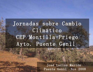 Jornadas sobre Cambio Climático CEP Montilla-Priego Ayto. Puente Genil   José Larios Martón  Puente Genil  Nov 2008 