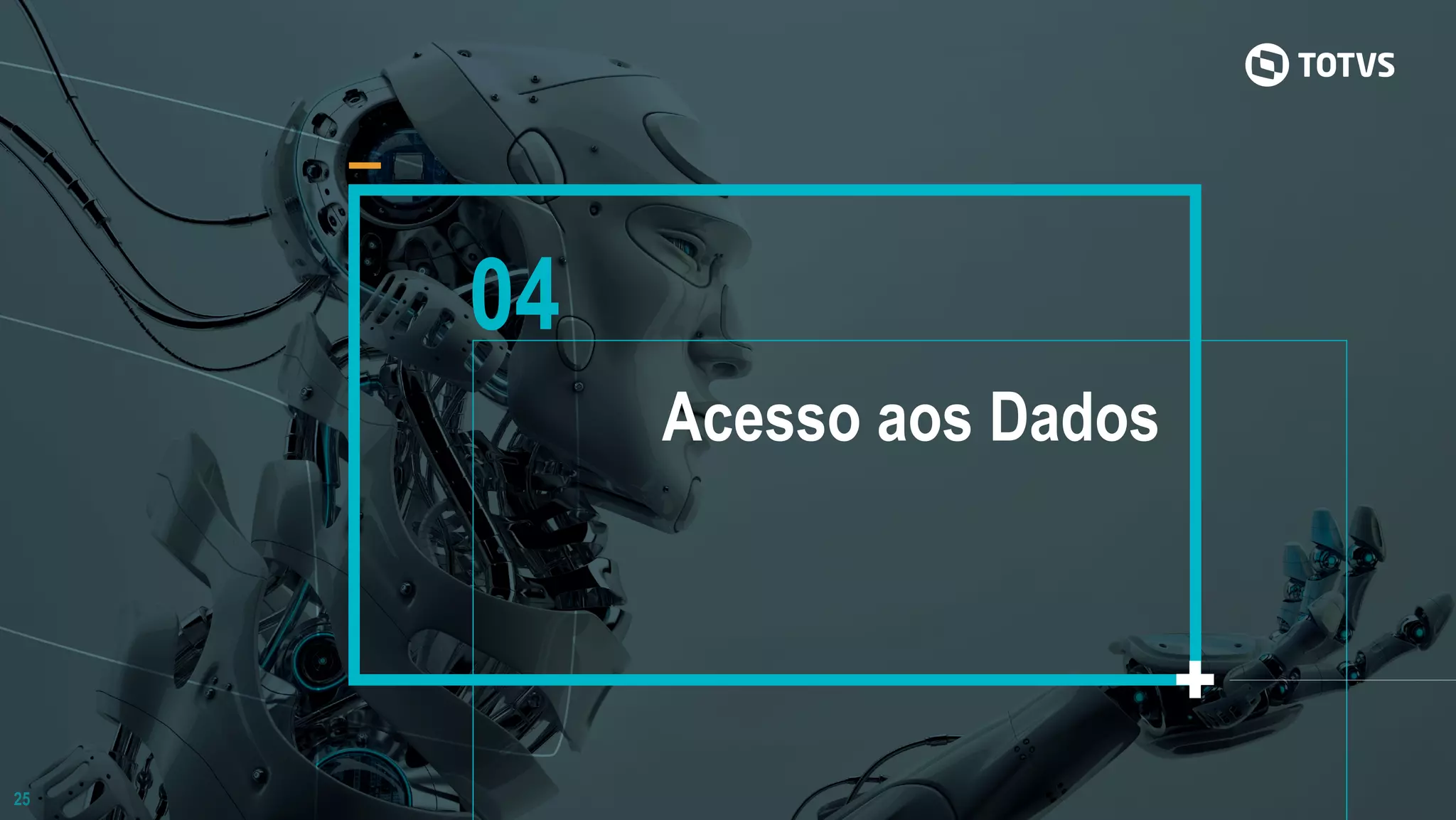 25
04
Acesso aos Dados
 