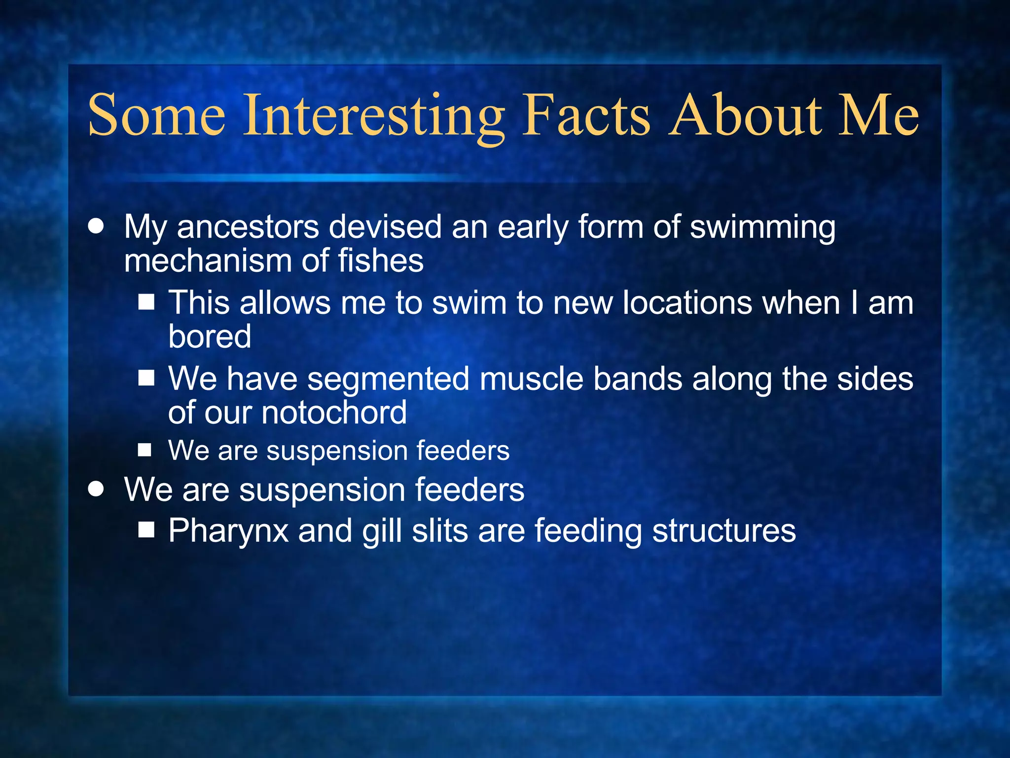 Some Interesting Facts About Me  My ancestors devised an early form of swimming mechanism of fishes This allows me to swim to new locations when I am bored  We have segmented muscle bands along the sides of our notochord  We are suspension feeders We are suspension feeders Pharynx and gill slits are feeding structures   