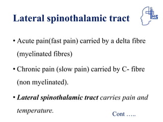 Lateral spinothalamic tract
• Acute pain(fast pain) carried by a delta fibre
(myelinated fibres)
• Chronic pain (slow pain) carried by C- fibre
(non myelinated).
• Lateral spinothalamic tract carries pain and
temperature. Cont …..
 