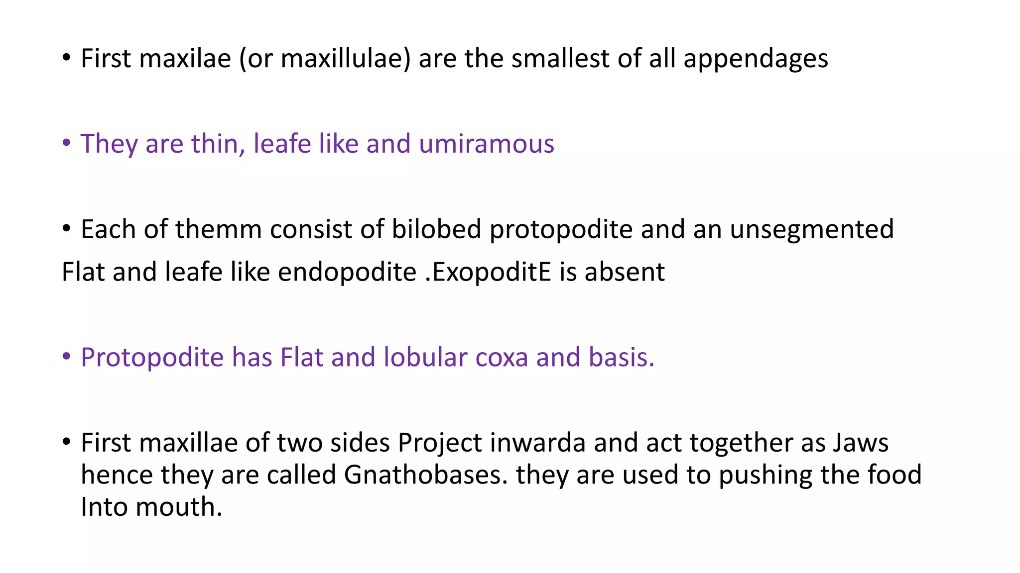 • First maxilae (or maxillulae) are the smallest of all appendages
• They are thin, leafe like and umiramous
• Each of themm consist of bilobed protopodite and an unsegmented
Flat and leafe like endopodite .ExopoditE is absent
• Protopodite has Flat and lobular coxa and basis.
• First maxillae of two sides Project inwarda and act together as Jaws
hence they are called Gnathobases. they are used to pushing the food
Into mouth.
 