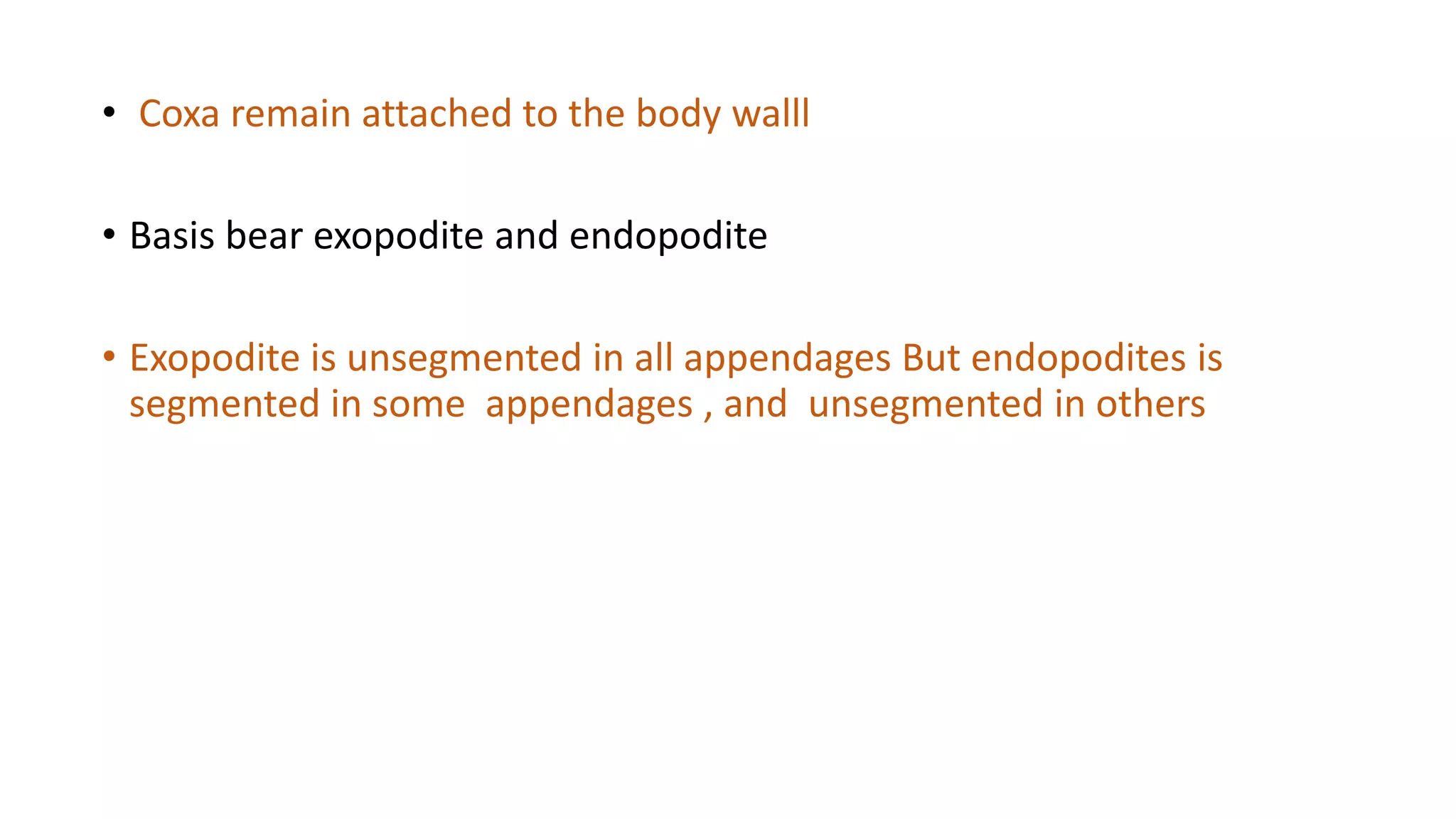 • Coxa remain attached to the body walll
• Basis bear exopodite and endopodite
• Exopodite is unsegmented in all appendages But endopodites is
segmented in some appendages , and unsegmented in others
 