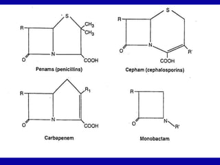 Cephamtrique cephalo.ppt