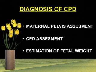 Cpd Sign Cephalo-pelvic Disproportion assessment ppt | PPT