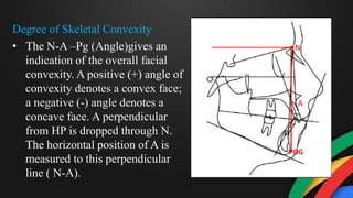 Degree of Skeletal Convexity
• The N-A –Pg (Angle)gives an
indication of the overall facial
convexity. A positive (+) angle of
convexity denotes a convex face;
a negative (-) angle denotes a
concave face. A perpendicular
from HP is dropped through N.
The horizontal position of A is
measured to this perpendicular
line ( N-A).
N
A
POG
 