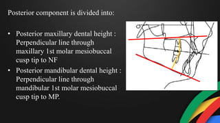 Posterior component is divided into:
• Posterior maxillary dental height :
Perpendicular line through
maxillary 1st molar mesiobuccal
cusp tip to NF
• Posterior mandibular dental height :
Perpendicular line through
mandibular 1st molar mesiobuccal
cusp tip to MP.
 