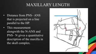 MAXILLARY LENGTH
• Distance from PNS– ANS
that is projected on a line
parallel to the HP.
• This measurement
alongwith the N-ANS and
PNS– N gives a quantitative
description of the maxilla in
the skull complex.
 