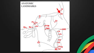 ANATOMIC
LANDMARKS
 