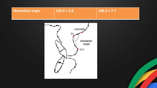 Nasolabial angle 103.5 ± 6.8 106.4 ± 7.7
 