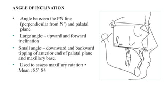 Perpendicular Inclination Cephalometrics analysis in orthodontics.pptx