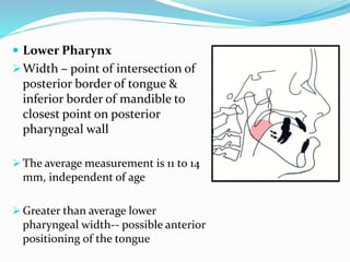  Lower Pharynx
Width – point of intersection of
posterior border of tongue &
inferior border of mandible to
closest point on posterior
pharyngeal wall
 The average measurement is 11 to 14
mm, independent of age
 Greater than average lower
pharyngeal width-- possible anterior
positioning of the tongue
 