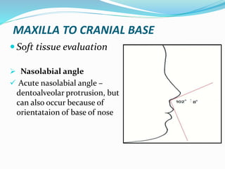 MAXILLA TO CRANIAL BASE
 Soft tissue evaluation
 Nasolabial angle
 Acute nasolabial angle –
dentoalveolar protrusion, but
can also occur because of
orientataion of base of nose
 