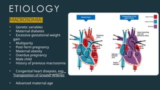 ETIOLOGY
• Genetic variables
• Maternal diabetes
• Excessive gestational weight
gain
• Multiparity
• Post-Term pregnancy
• Maternal obesity
• Overdue pregnancy
• Male child
• History of previous macrosomia
• Congenital heart diseases, esp.
Transposition of Greater Arteries
• Advanced maternal age
MACROSOMIA:
 
